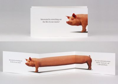 DuPont SureLock Direct Mail Pig
